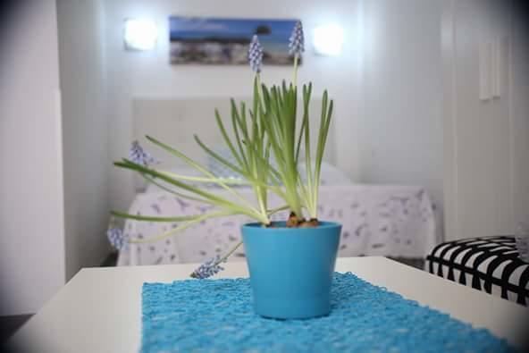 You & Me House Ceglie Messapica Eksteriør bilde